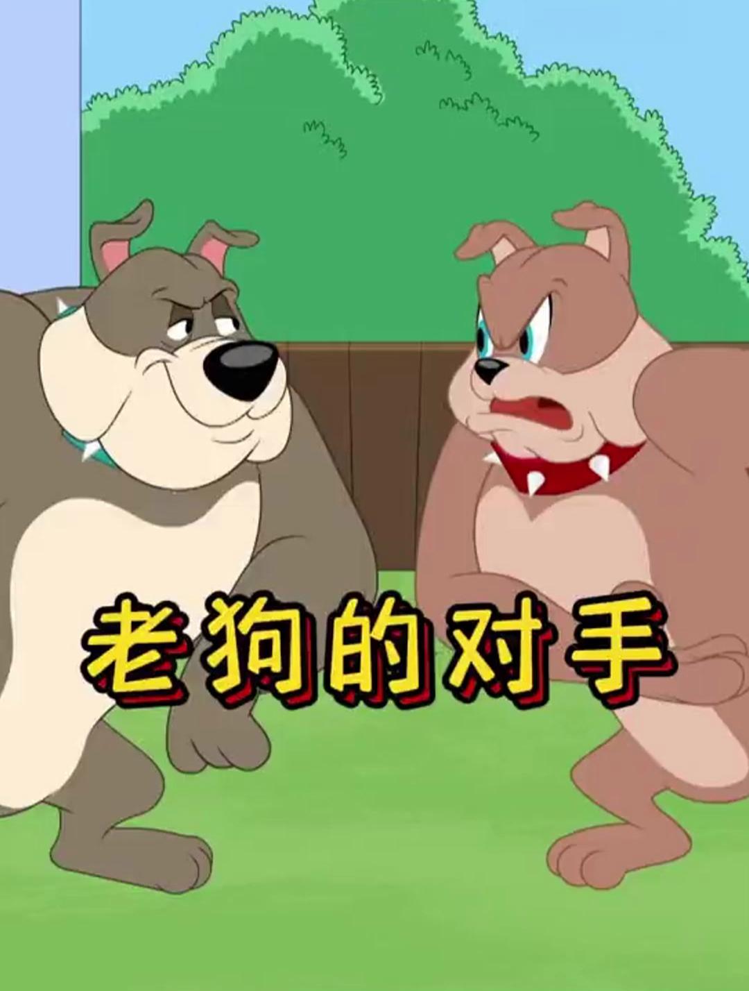 黑白直播体育-布莱克本遇强劲对手，比赛场面扣人心弦的简单介绍