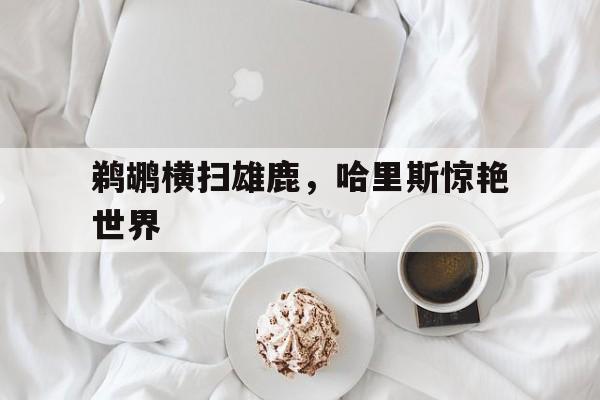 黑白直播在线观看nba-鹈鹕横扫雄鹿，哈里斯惊艳世界