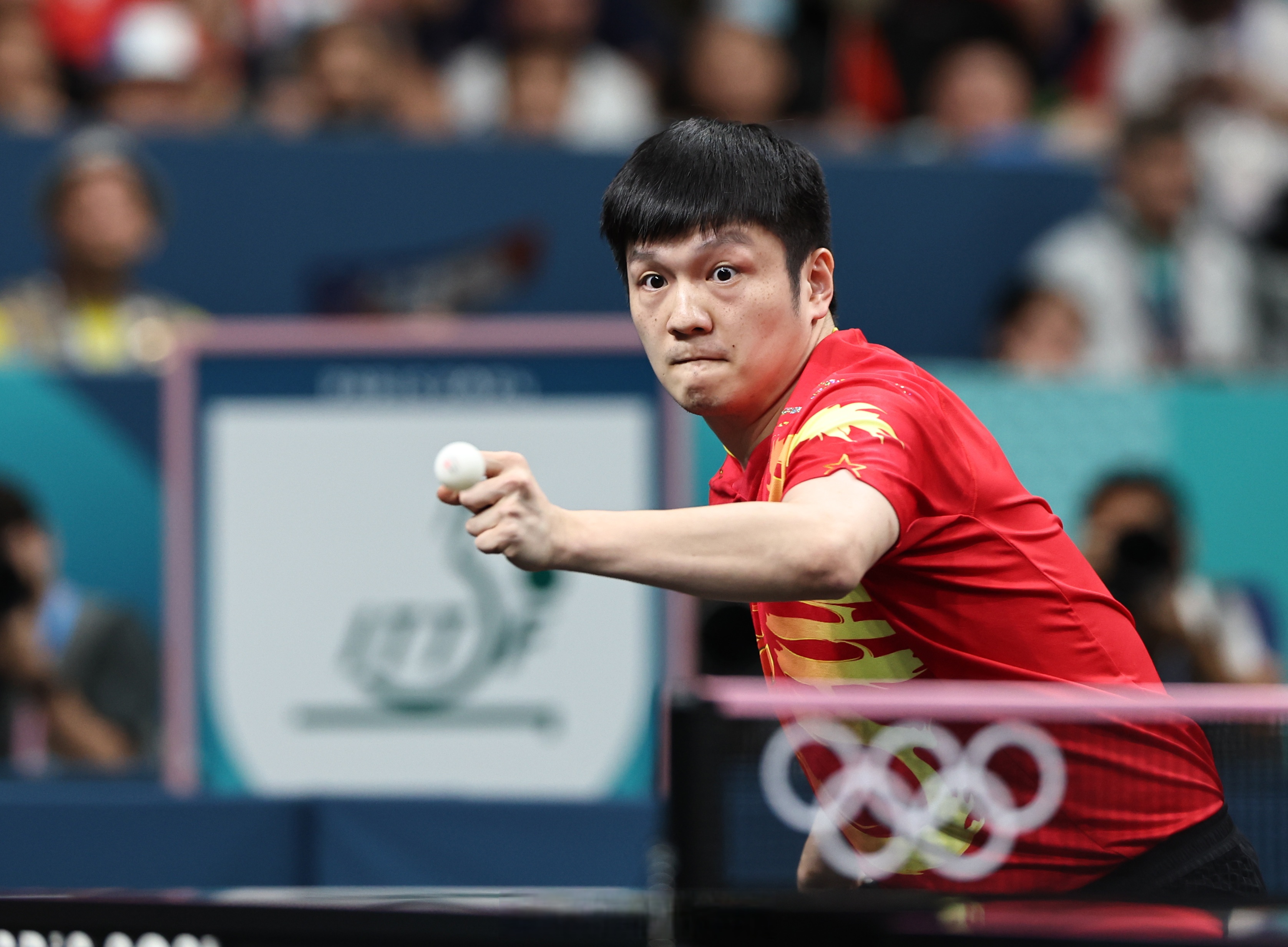 黑白直播网-波兰队翻盘中国队,樊振东高光表现