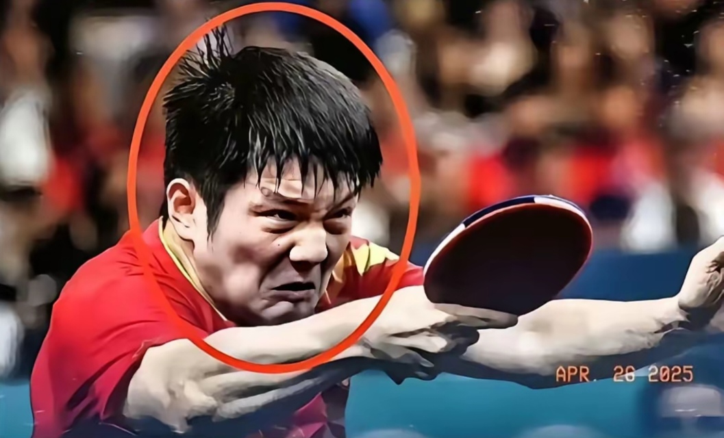 波兰队翻盘中国队,樊振东高光表现 波兰队翻盘中国队,樊振东高光表现