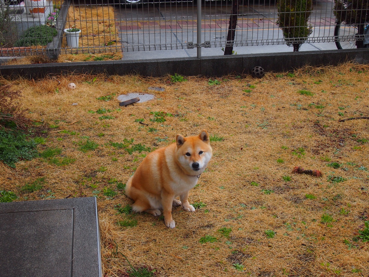 绝地反击!切特完成自我救赎,老鹰主场完胜热火