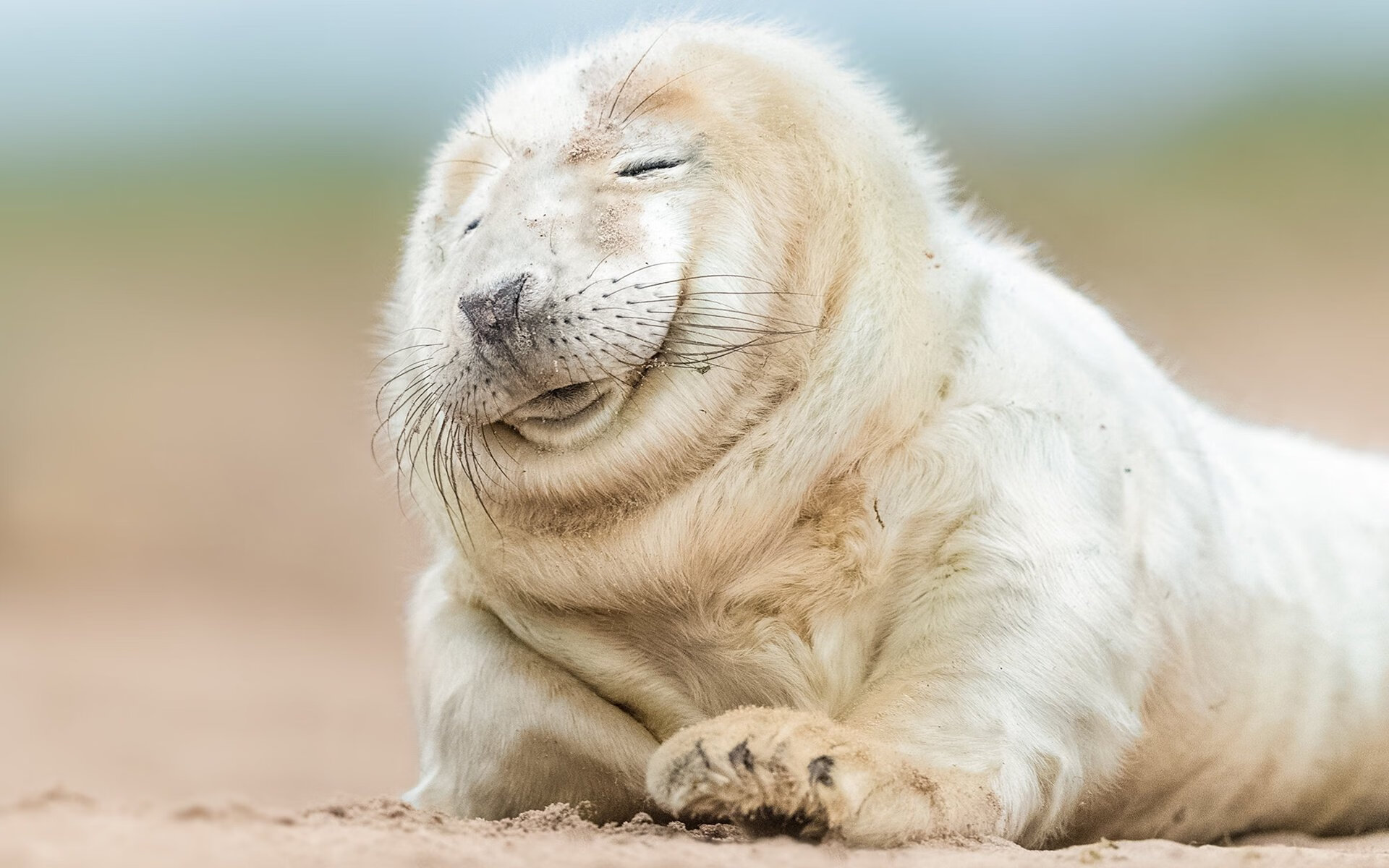 巨星之光与草根之魂,舞台与绝境下的篮球史诗