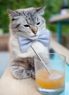 佩德里一锤定音!牙买加鏖战南非,中场天才接管世界排名生死战