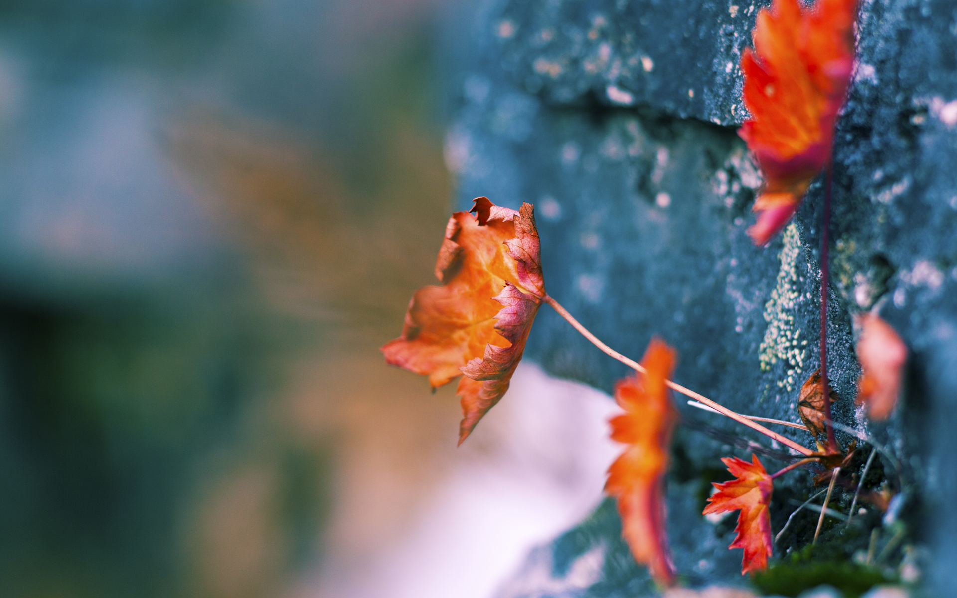 黑白直播nba在线观看-西甲国家德比之夜，卡瓦哈尔，定义大场面的隐形支柱