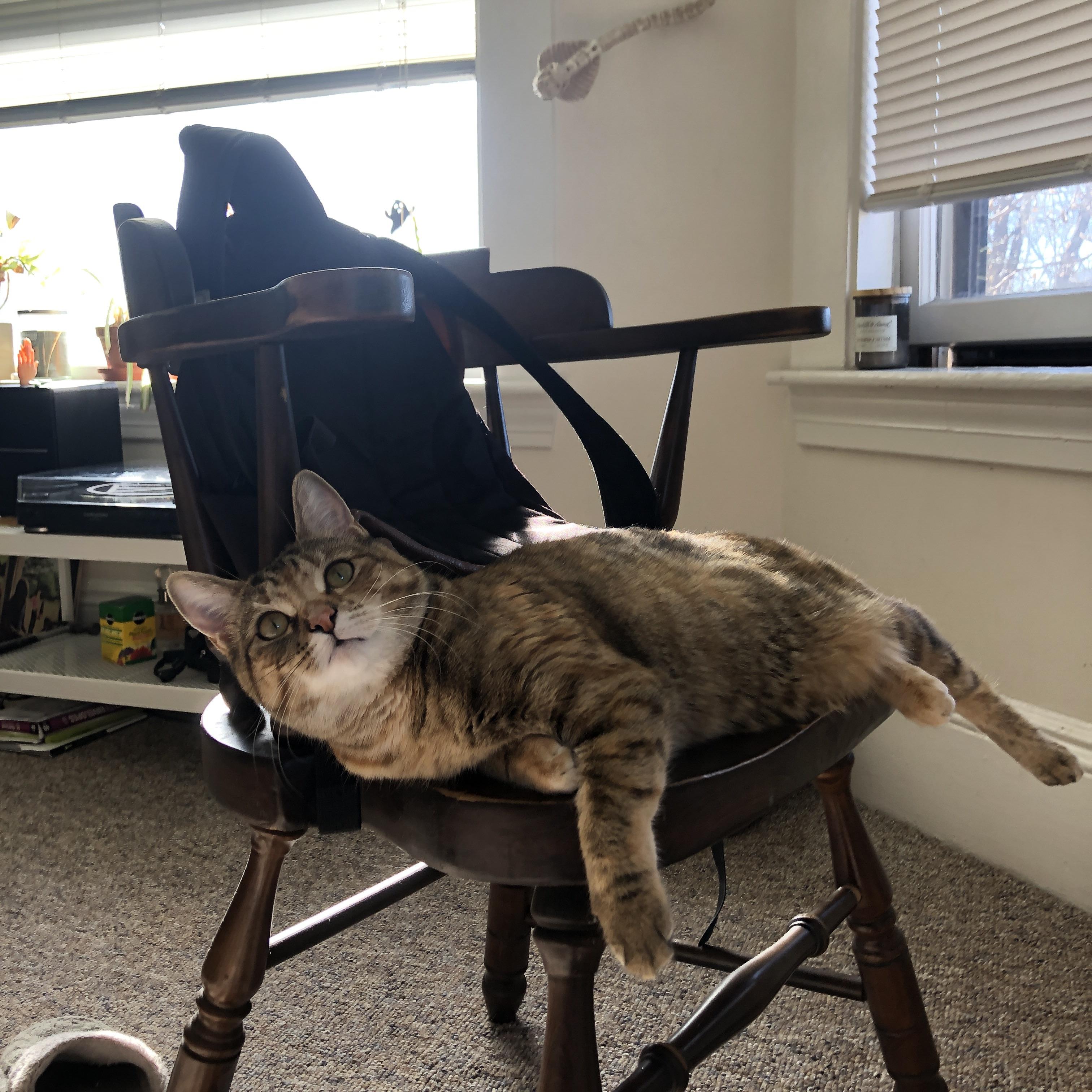 欧冠之夜,奥利维耶,暗夜里的孤星与救赎