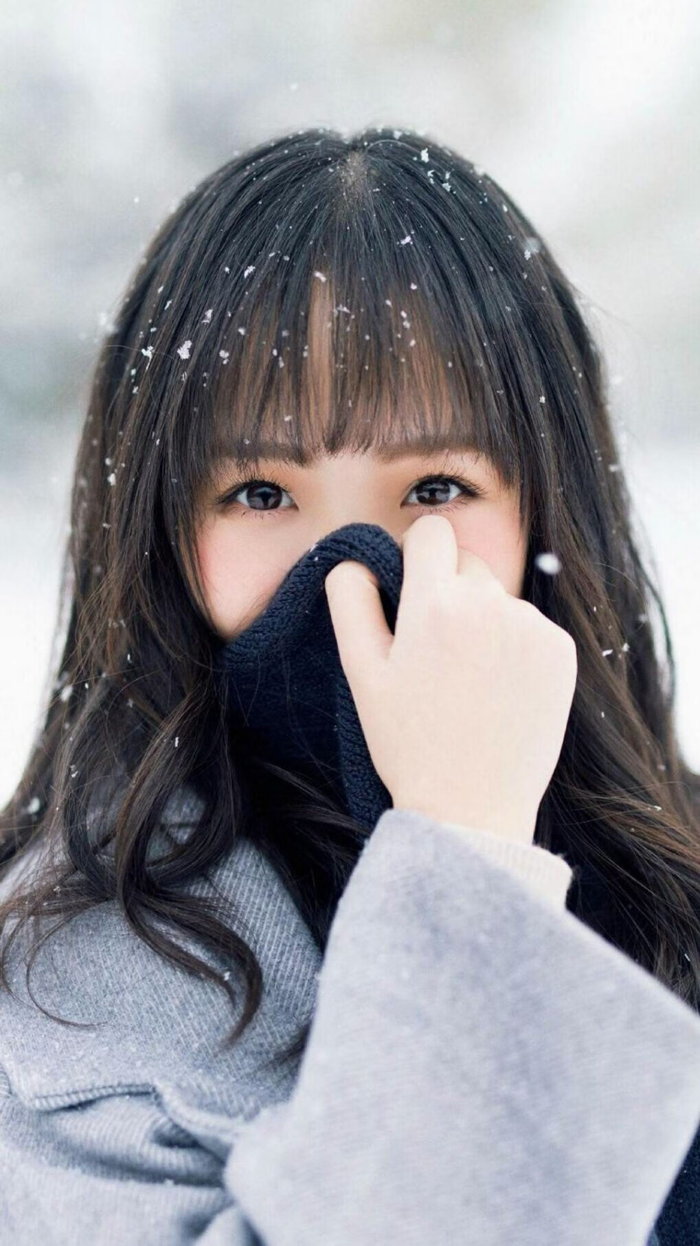 征服者欧文稳定输出不掉线,深圳队淘汰赛过关雄鹿吹响号角