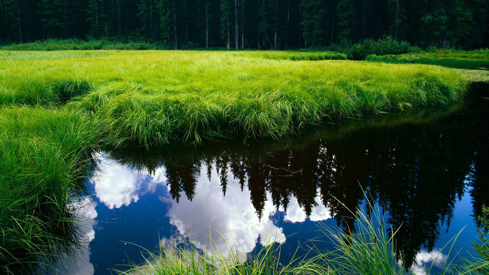 黑白直播nba在线观看-巅峰对决，杜兰特关键先生助猛龙力克开拓者