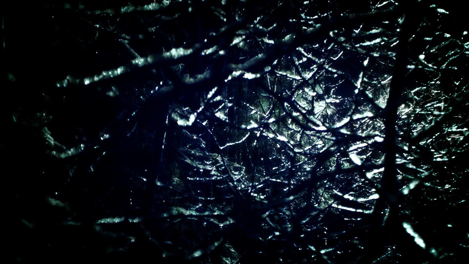 黑白直播-跨界之战，库里神奇三分定乾坤，森林狼险胜上海队